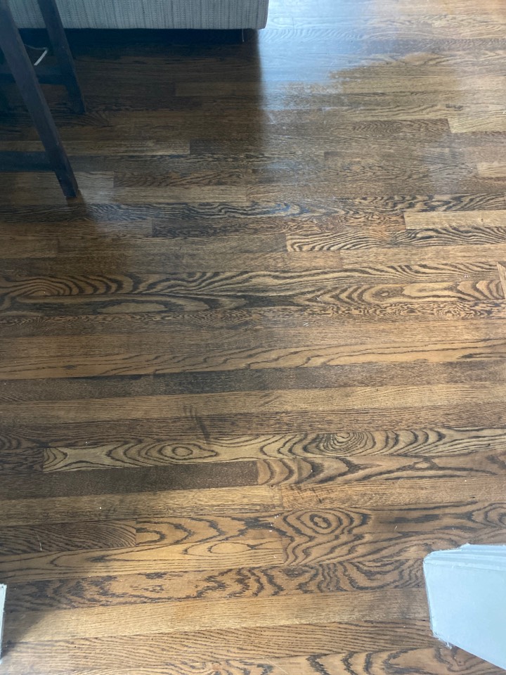 Mopped floors Mopped floors