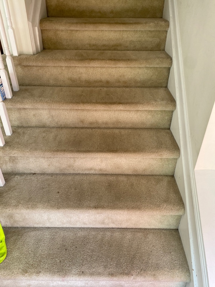 Vacuumed steps Vacuumed steps