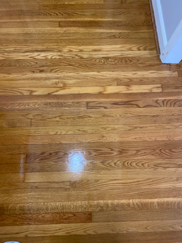 Mopped floors Mopped floors