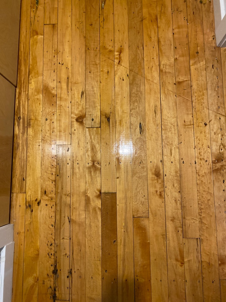 Mopped floors Mopped floors