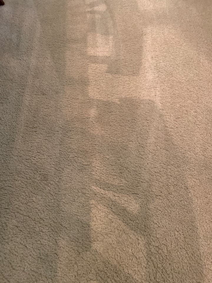 Vacuumed carpet Vacuumed carpet