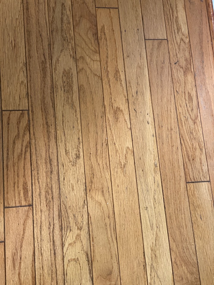 Mopped floor Mopped floor