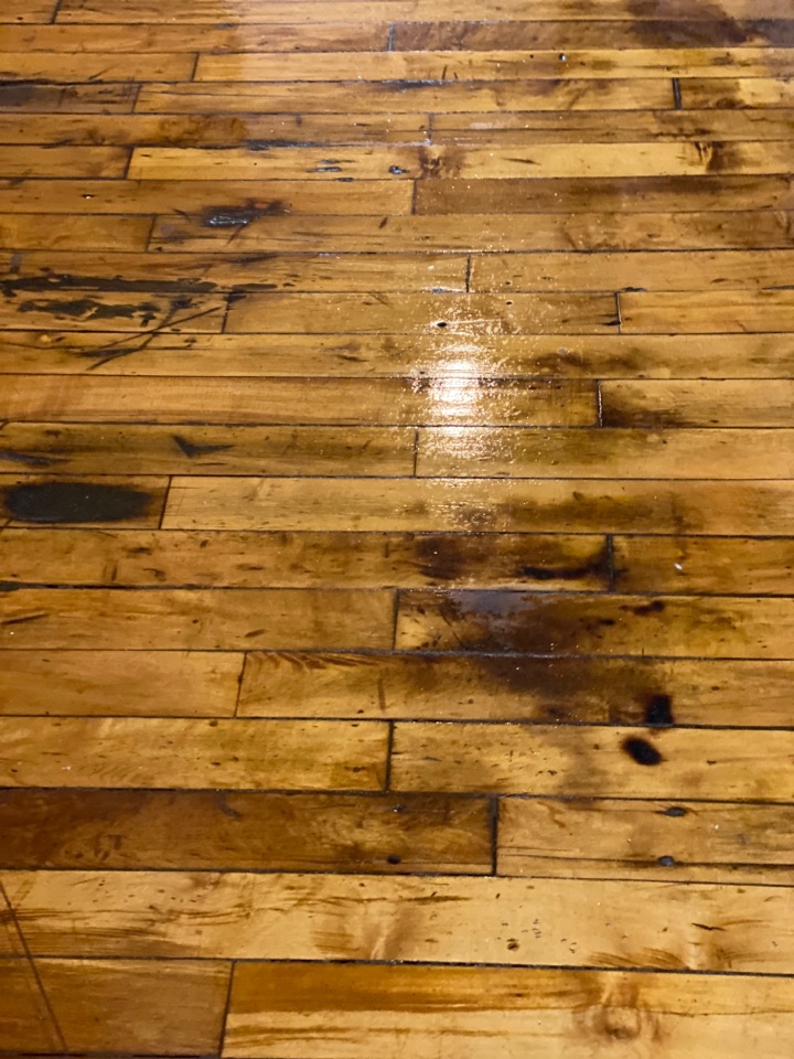 Mopped floors Mopped floors