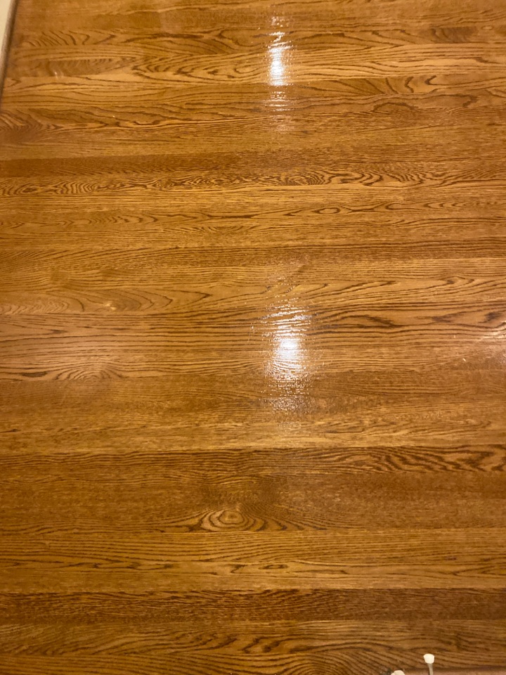 Mopped floors Mopped floors