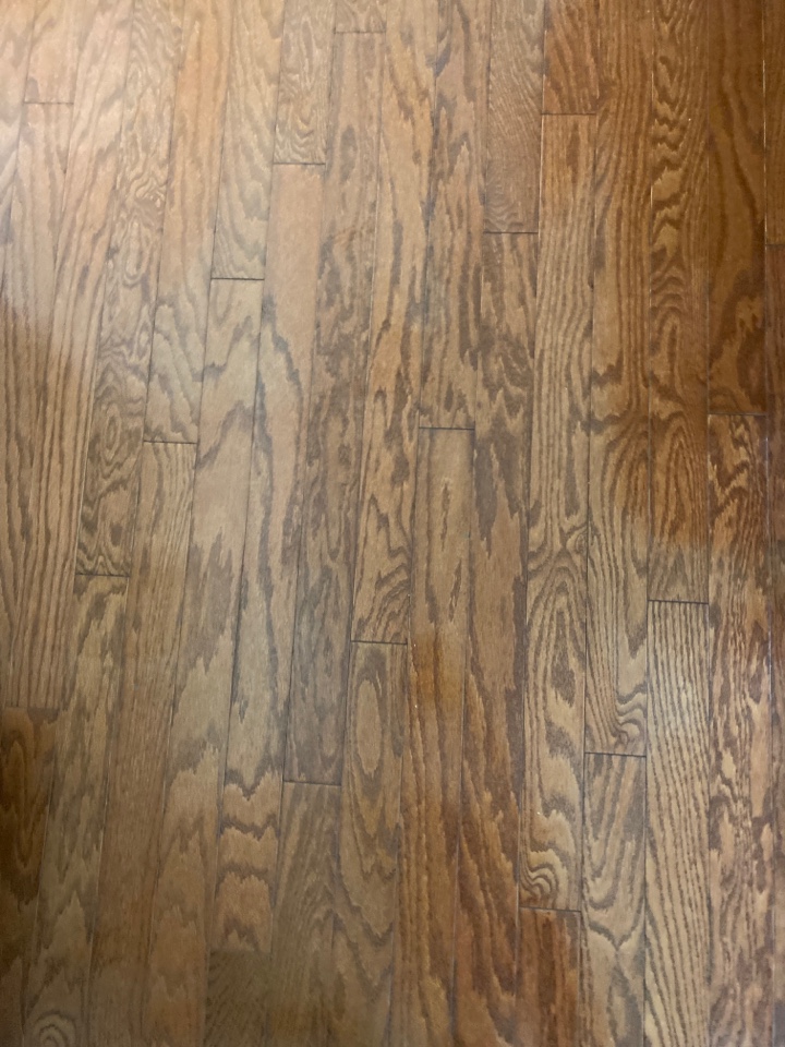 Mopped floors Mopped floors