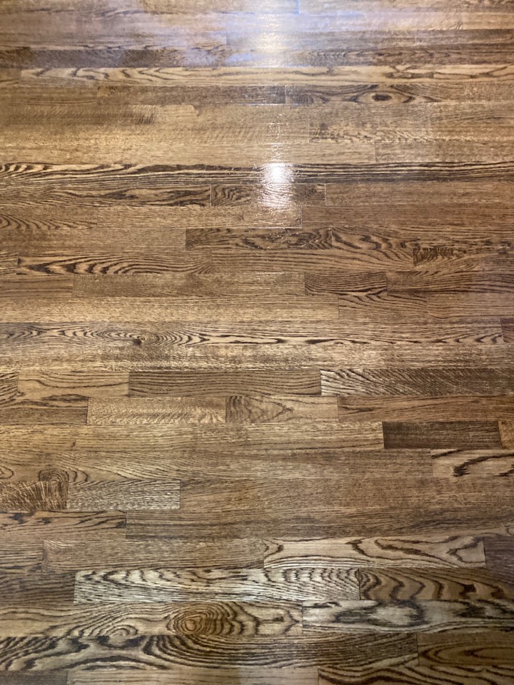 Mopped floors Mopped floors