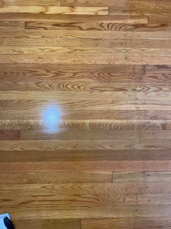 Mopped floors Mopped floors
