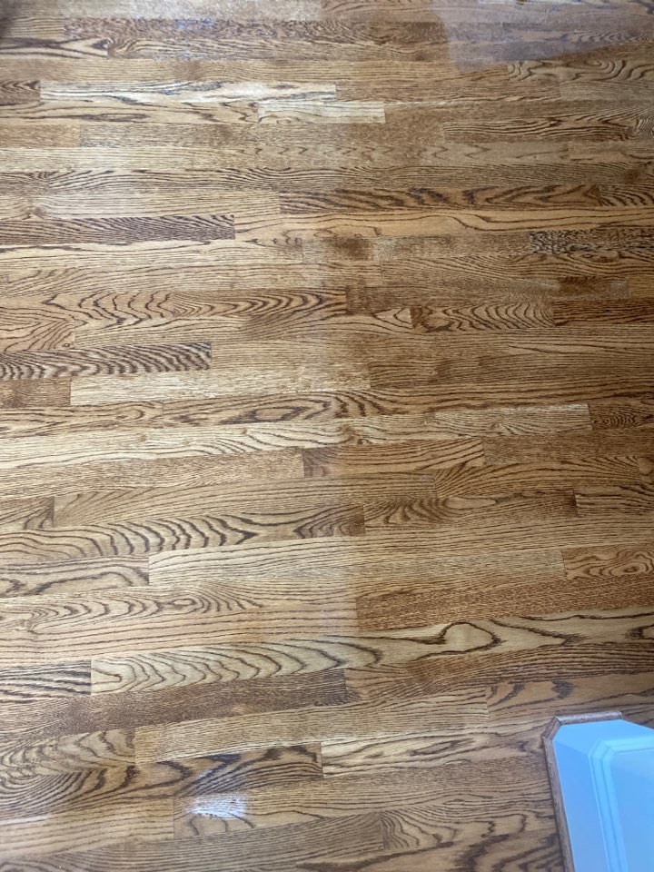 Mopped floors Mopped floors