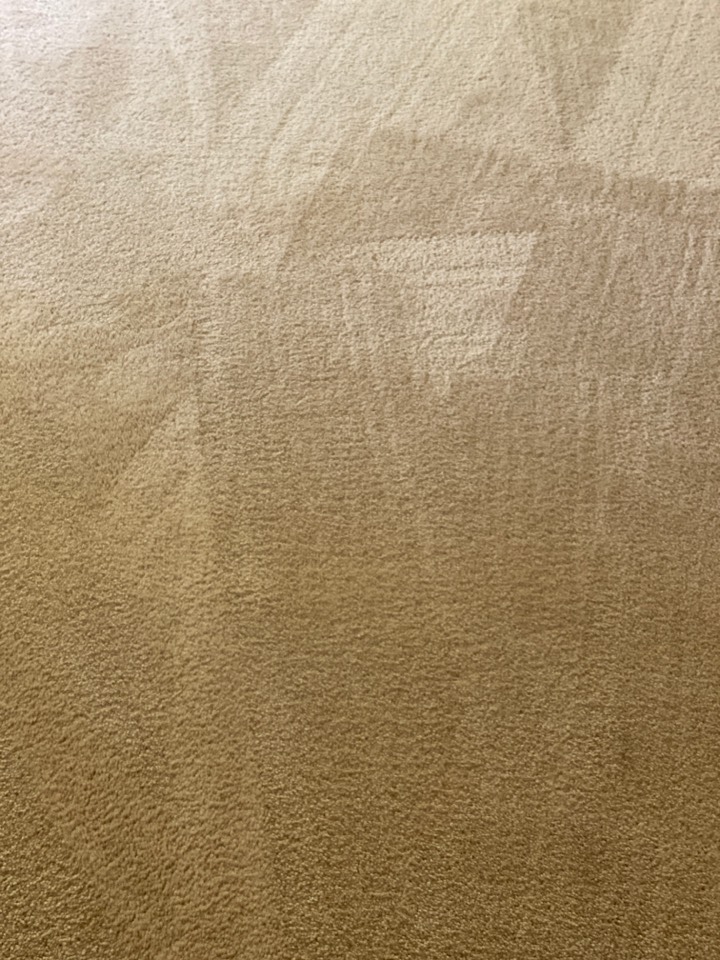 Vacuumed lines Vacuumed lines