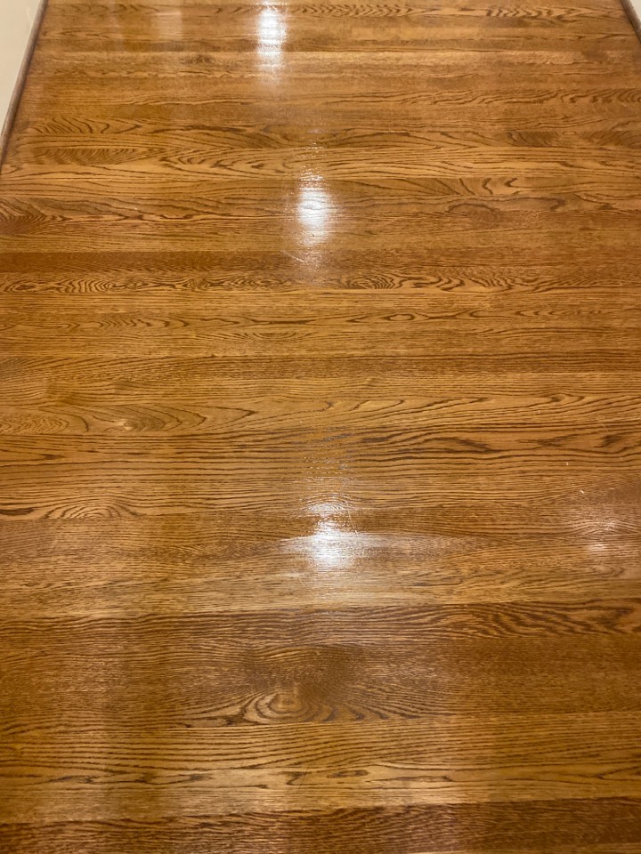 Mopped floors Mopped floors