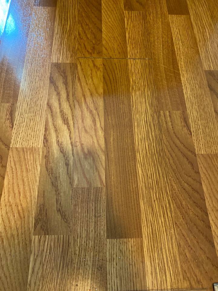 Mopped floors Mopped floors