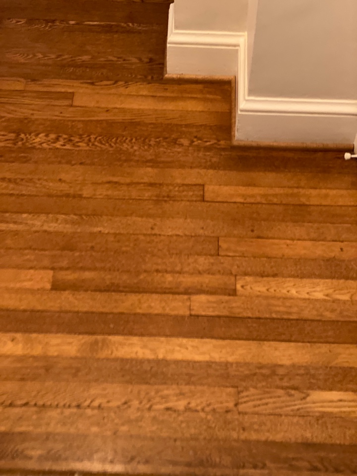 Mopped floors Mopped floors