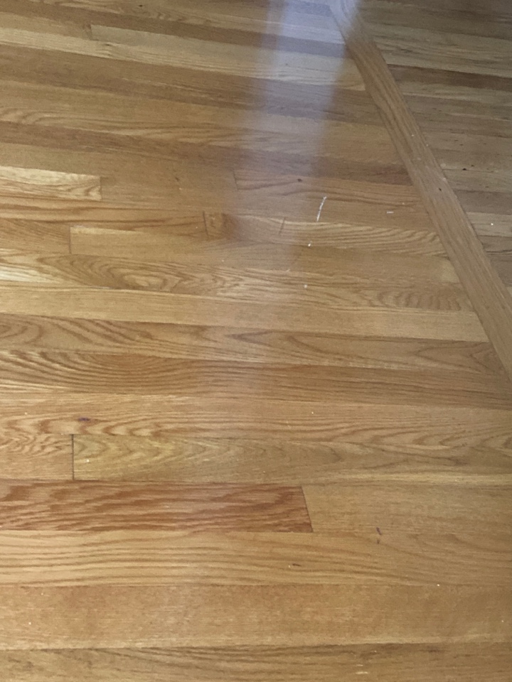 Mopped floors Mopped floors