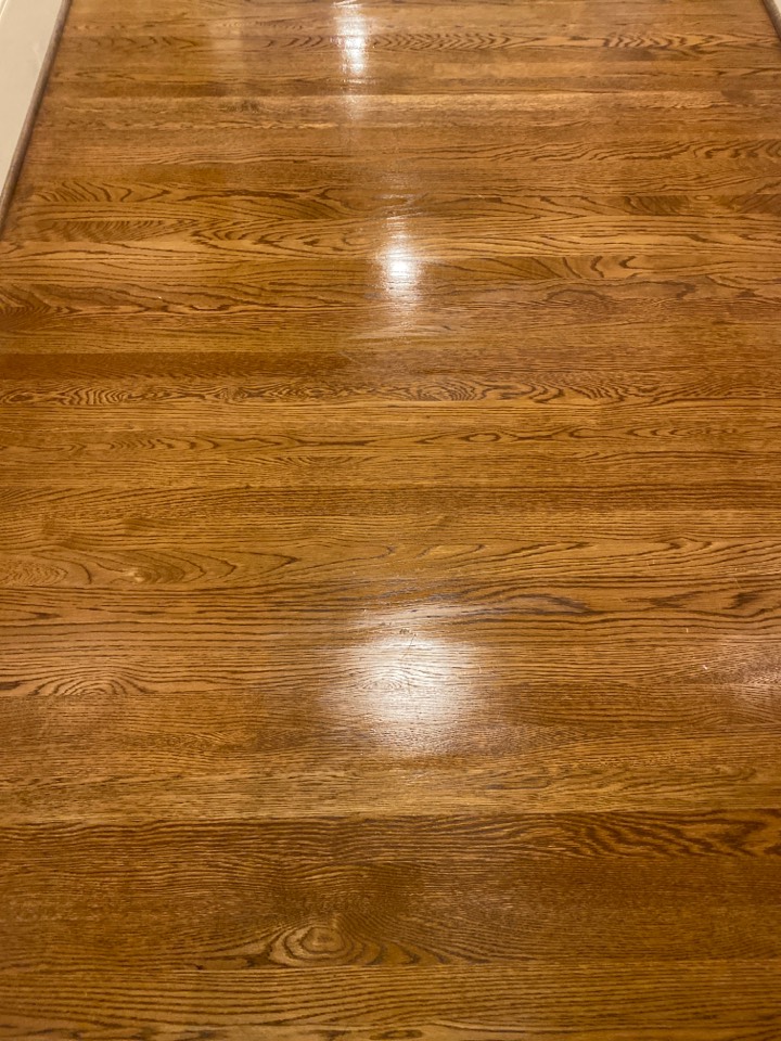 Mopped floors Mopped floors