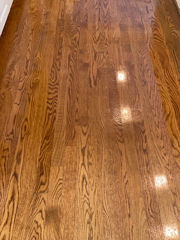 Mopped floors Mopped floors