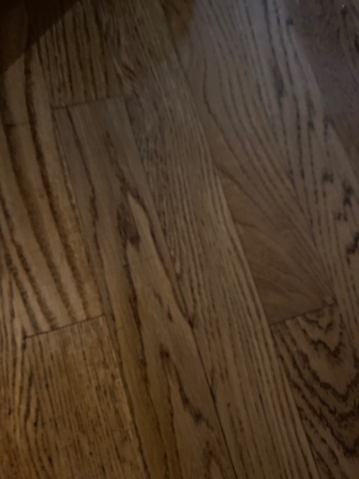 Mopped floors Mopped floors