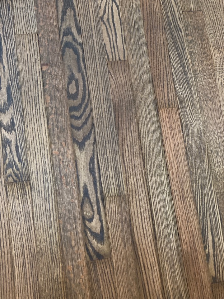 Mopped floors Mopped floors
