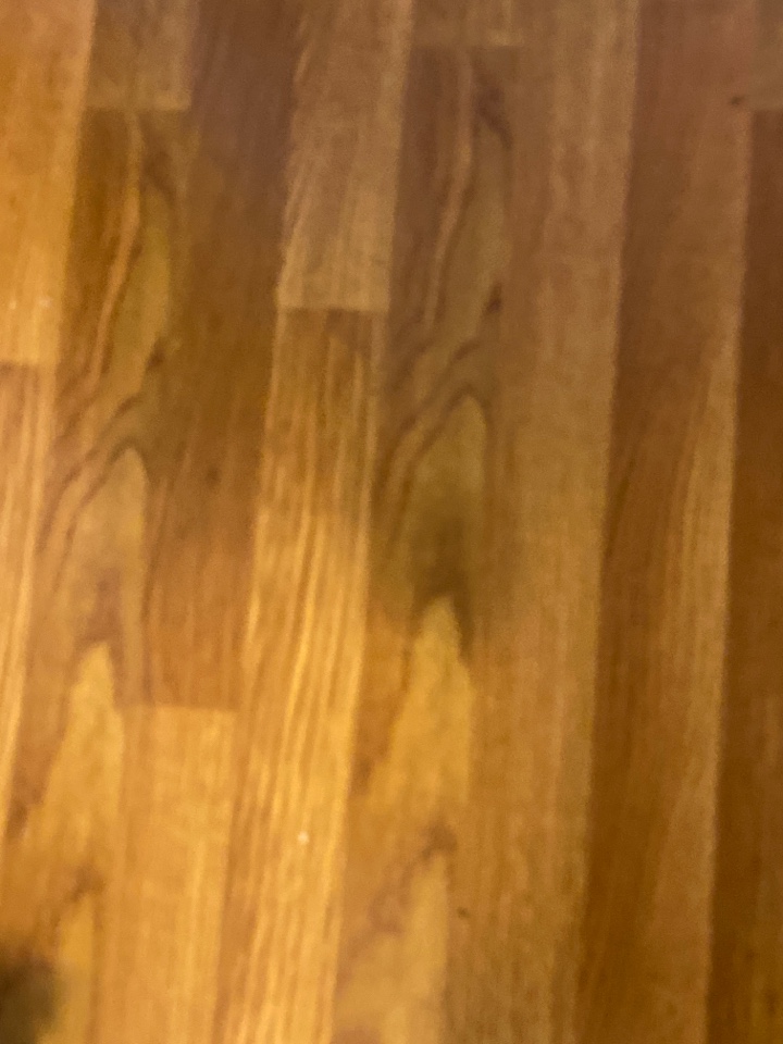 Mopped floors Mopped floors