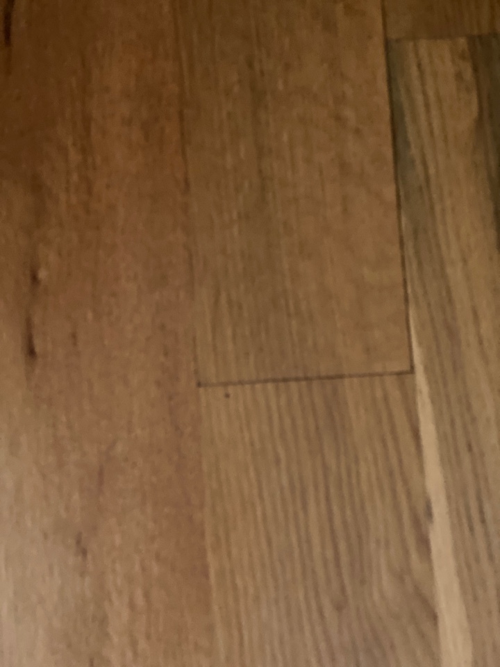 Mopped floors Mopped floors