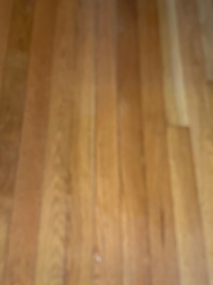 Mopped floors Mopped floors