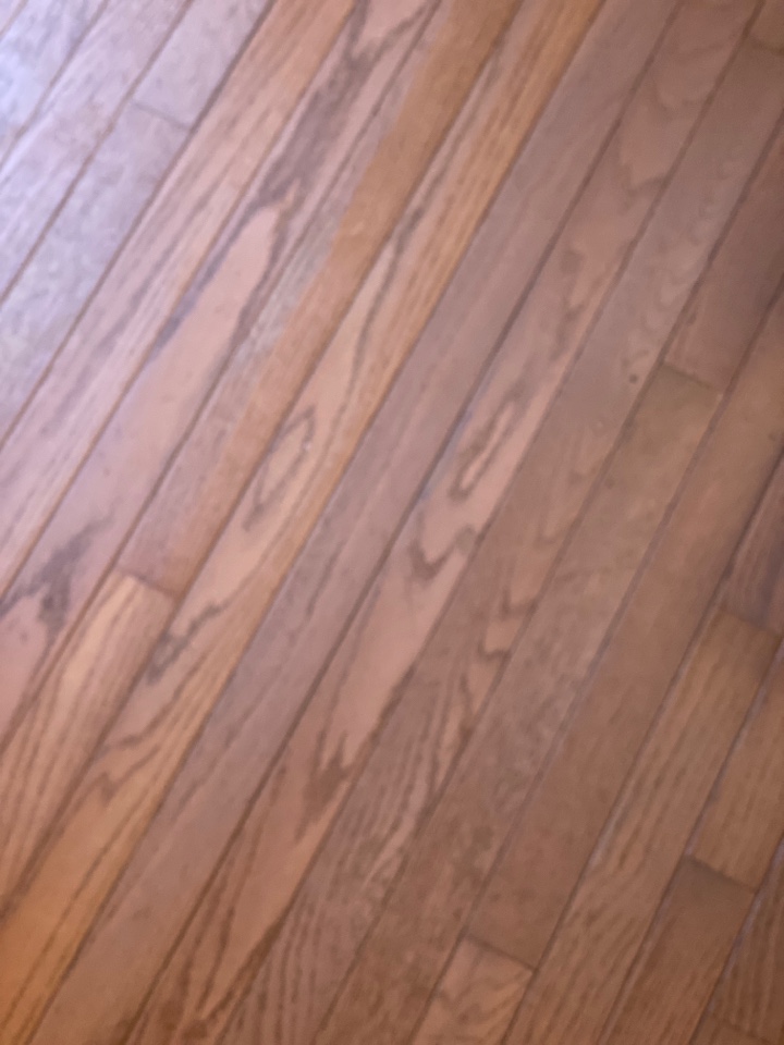 Mopping floors at monthly near me Greensboro NC Mopping floors at monthly near me Greensboro NC