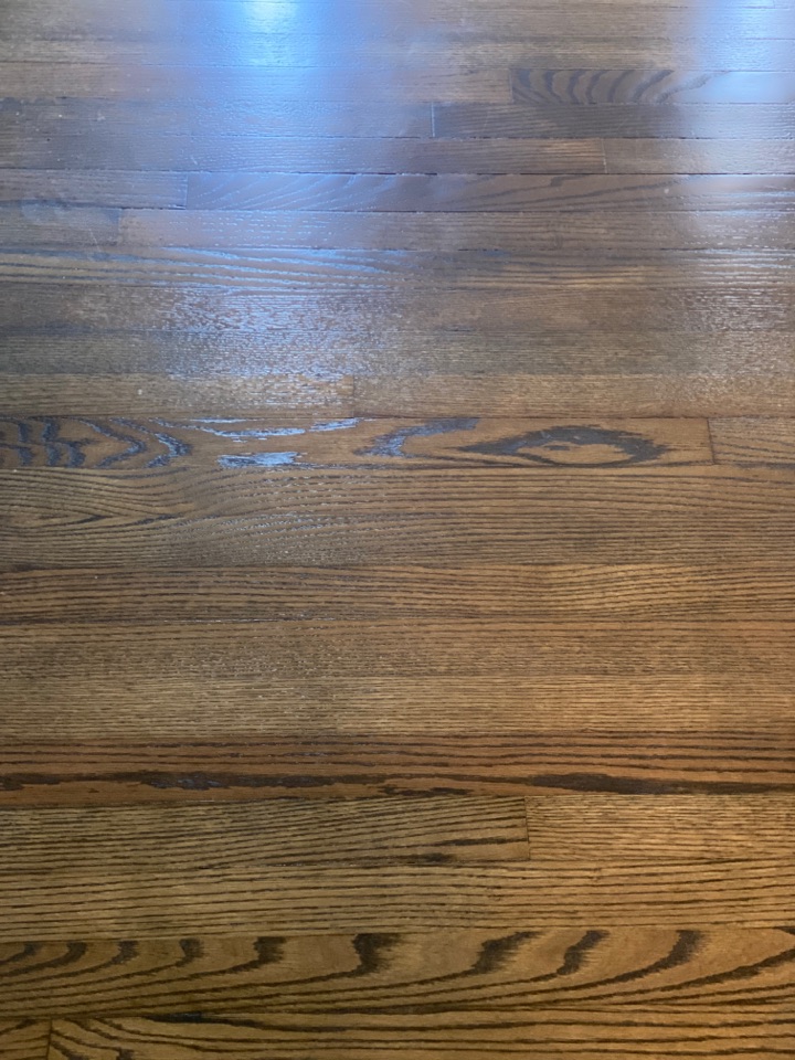 Mopping floors at biweekly near me Greensboro NC Mopping floors at biweekly near me Greensboro NC