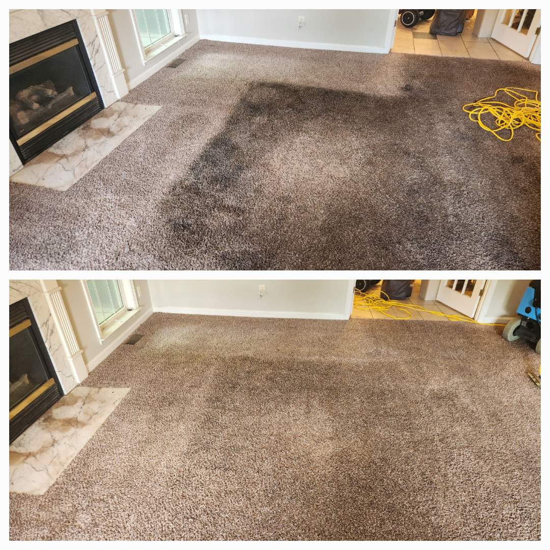 Carpet Cleaners in Knightdale, NC. Deep cleaning. Move out house clenaing in Knightdale.