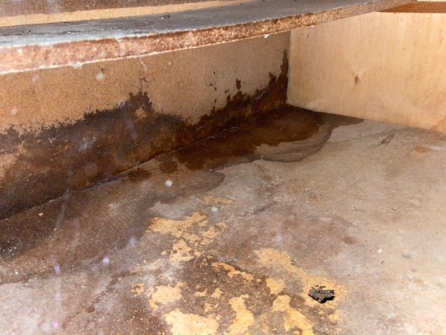 Doing a free inspection at a home in Garland, Texas that was damaged when a drain line started leaking which caused damage to the kitchen cabinets.