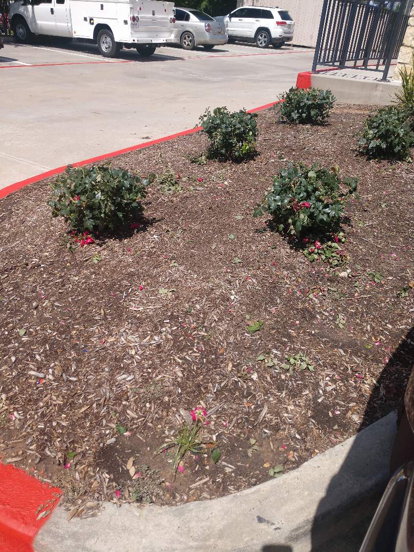 Fix broken sprinkler head