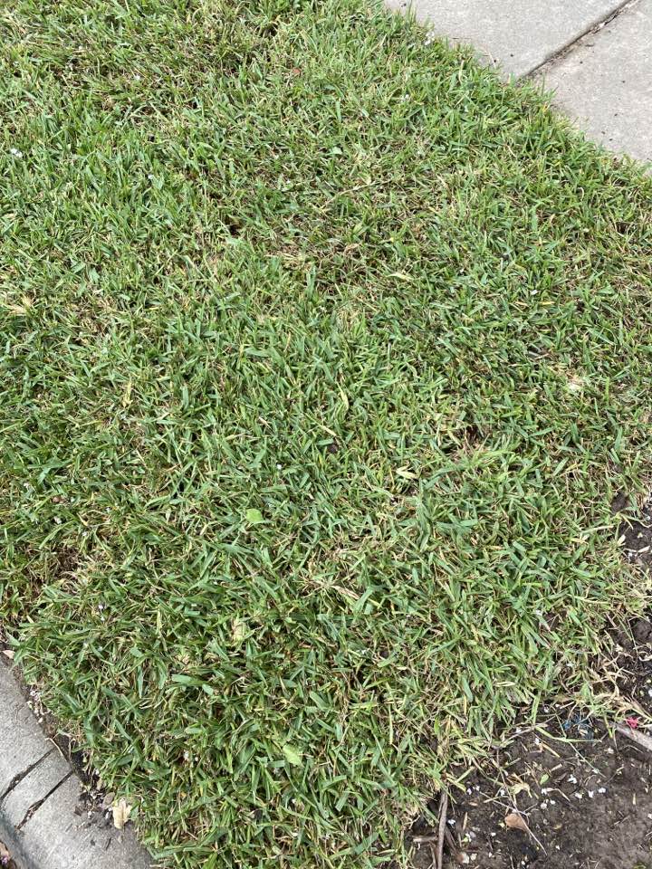 Realtime Service Area for Mr Sprinkler Repair mckinney, tx