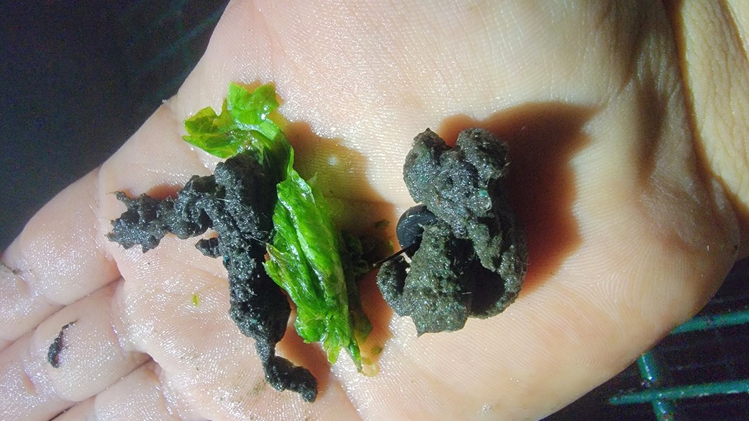 cathedral city walk in cooler down, no maintenance in over a year, it had mud coming out of it from our deep maintenance evaporator was very clean, from how dirty it was system will cool Walk in down very fast and they will save significantlyon energy now!