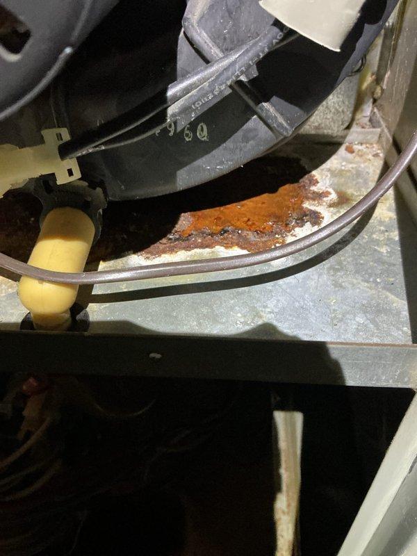 Performed standard furnace maintenance and identified significant rust and corrosion on the heat exchanger and control board area. Documented extensive oxidation damage with photos, indicating possible moisture intrusion or condensate leak affecting electrical components. Recommended system replacement due to safety concerns and potential component failure.