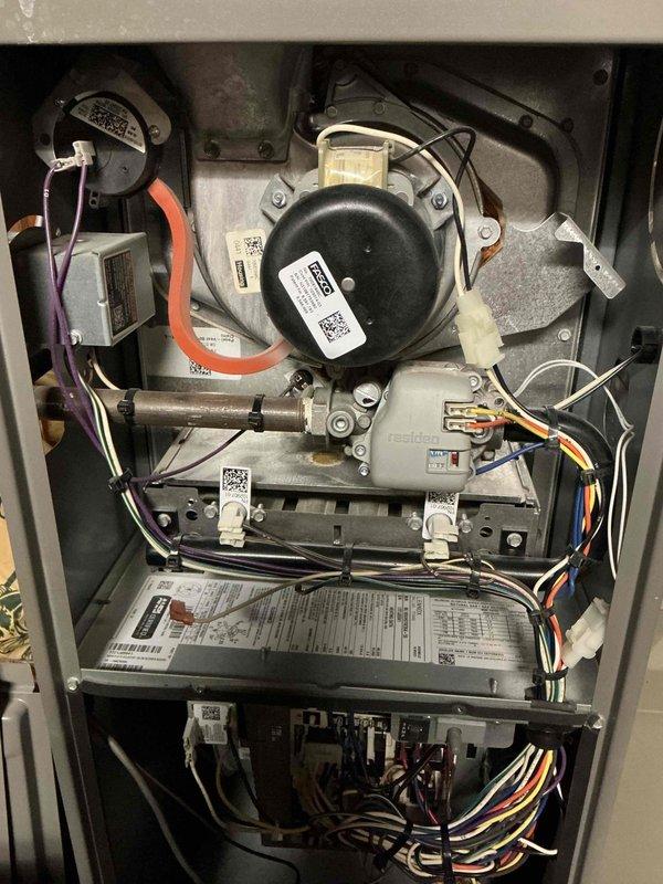 Performed routine maintenance on a 3-year-old natural gas furnace. Inspected blower motor assembly and control board connections. All electrical components and wiring were examined for proper operation with no issues found.