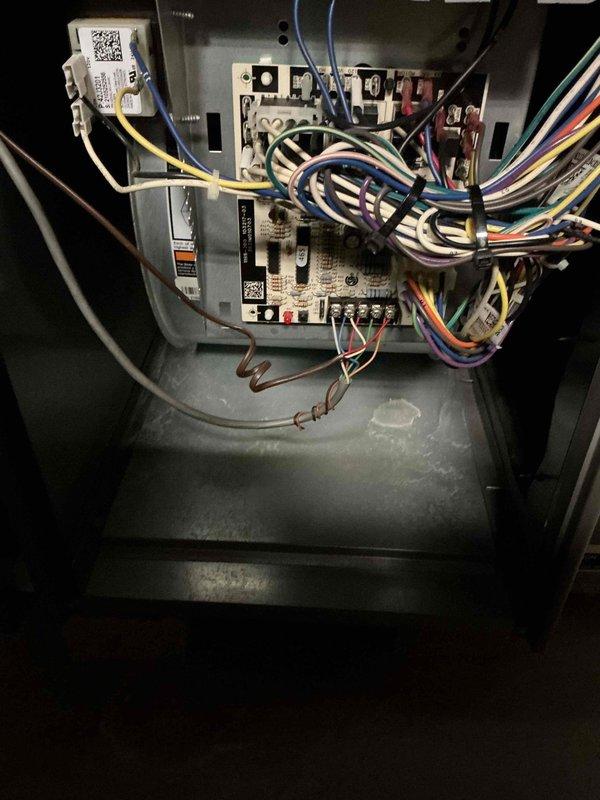 Performed routine maintenance on a 3-year-old natural gas furnace. Inspected blower motor assembly and control board connections. All electrical components and wiring were examined for proper operation with no issues found.