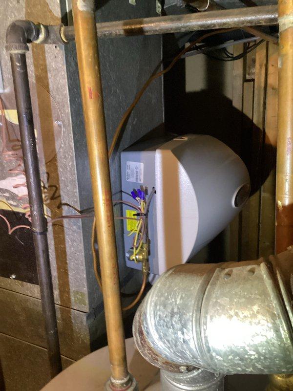 Diagnosed no heat complaint with screeching noise. Inspected furnace system with connected humidifier and found failed blower motor bearing causing the noise and airflow restriction. Replaced motor assembly, lubricated bearings, and verified proper operation of all components. System now functioning normally with appropriate heat output and no unusual sounds.