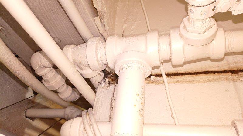 Repaired natural gas pipe leading to boiler which was leaking at a corroded joint. Inspection revealed significant oxidation and rust buildup around the pipe connection, along with evidence of previous water damage in the surrounding area. Service completed as scheduled per customer's confirmation.