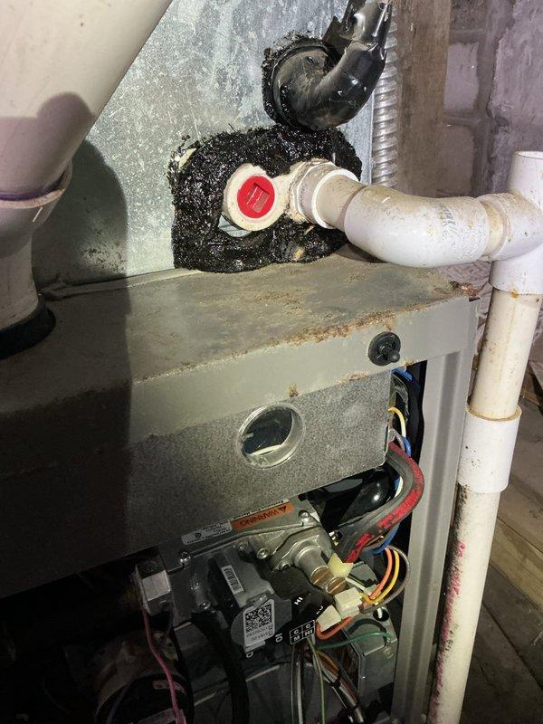 Performed routine maintenance on 4-year-old gas furnace. Identified and documented significant mold accumulation at the flexible duct connection point and inspected the condensate drain system with PVC piping and red valve. Recommended remediation for the mold issue to prevent potential air quality concerns.