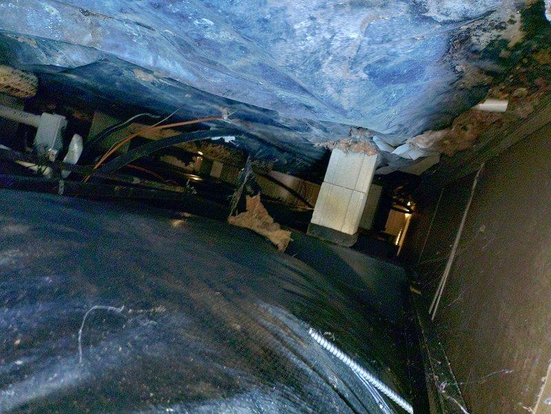 Completed comprehensive HVAC maintenance on cooling system under MVP prepaid plan, including cleaning and inspection of outdoor condensing unit. Investigated customer concern regarding crawl space ventilation and documented condition of flexible ductwork and vapor barrier system with photographic evidence for customer records.