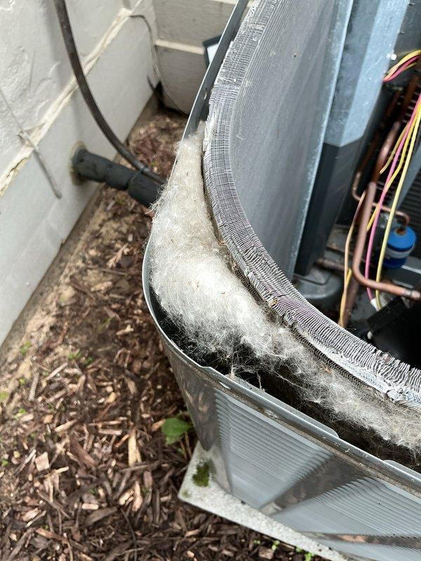 Completed scheduled cooling maintenance on 5-year-old air conditioning system. Performed comprehensive inspection of outdoor condensing unit, including examination of compressor, condenser coil, and electrical components. Observed significant accumulation of dirt, dust, and debris on condenser coil fins, which reduces heat transfer efficiency and system performance. Cleaned condenser coil thoroughly to restore optimal airflow and heat exchange capacity. Inspected electrical disconnect box and fuse assembly, confirming proper installation and secure connections. Verified all electrical wiring and conduit connections at outdoor unit. Checked refrigerant lines for signs of wear or damage. System operational and running efficiently following maintenance procedures. Customer renewed maintenance membership during service visit.