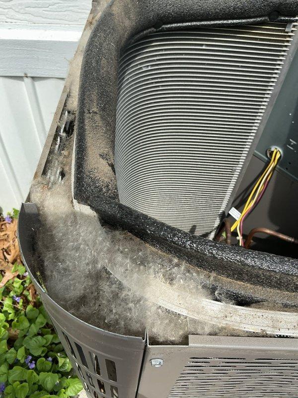 Responded to no-cool call on 3-year-old residential air conditioning system with heavy ice buildup on outdoor unit. Upon inspection, discovered evaporator coil completely frozen, indicating refrigerant leak or restriction in system. Documented ice formation on condenser housing and copper line set for warranty claim purposes, as unit was originally installed by Bluflame and remains under manufacturer coverage. System requires refrigerant recharge and leak detection once coil defrosts; recommended customer contact installing contractor to initiate warranty service for proper repair of underlying refrigerant loss issue.