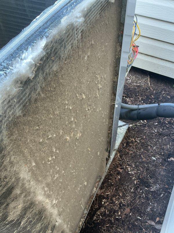 Completed recurring cooling maintenance on outdoor HVAC unit. Upon inspection, found heavily soiled air filter with significant accumulation of dirt, dust, and debris requiring immediate attention. Verified electrical connections and fuse assembly in good working condition, with both fuses properly seated and functioning within normal parameters.