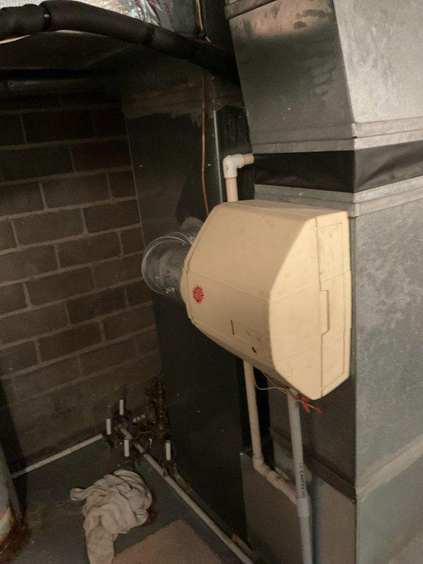 Conducted comprehensive site evaluation for complete air conditioning system replacement at residential property. Assessed existing outdoor condenser unit positioned against brick exterior wall and indoor air handler/evaporator coil assembly located in basement mechanical room. Documented current equipment condition, installation configuration, electrical service connections, refrigerant line routing, condensate drainage system, and ductwork integration. Photographed outdoor unit showing weathering, surrounding vegetation encroachment, and concrete pad condition. Evaluated indoor components including humidifier integration, copper refrigerant lines, and flexible ductwork connections to existing HVAC infrastructure. Provided detailed replacement estimate covering equipment specifications, installation requirements, and system upgrade recommendations to restore optimal cooling performance and efficiency.