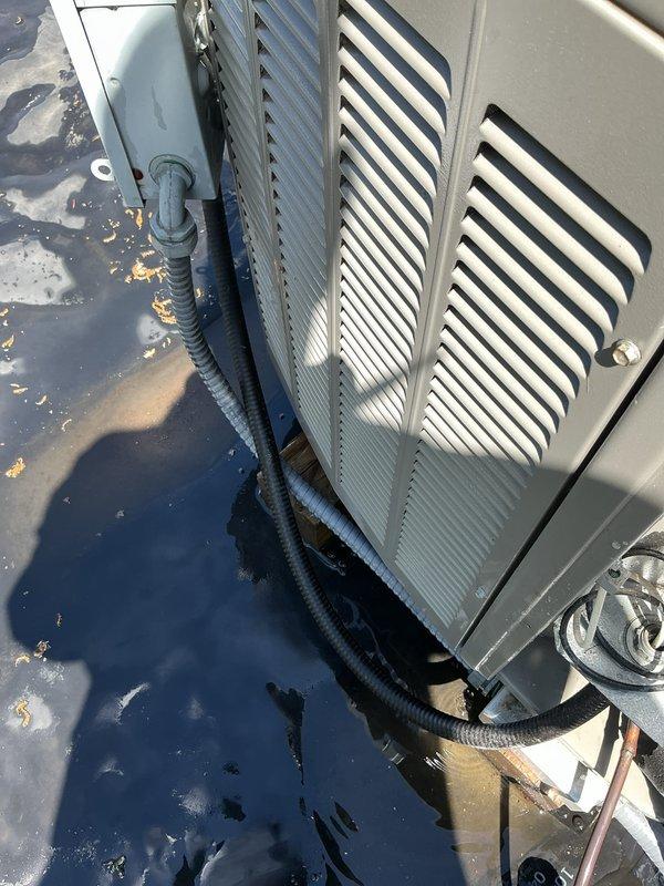 Completed comprehensive AC tune-up on 3-year-old rooftop unit, utilizing extended hose for condenser coil cleaning due to rooftop installation. Performed electrical diagnostics using clamp meter to verify proper amperage draw and system performance, inspected all electrical connections and refrigerant lines. Replaced furnace filter per customer request during service visit.