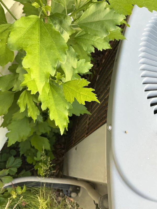 Completed comprehensive annual air conditioning tune-up on a 5-year-old outdoor cooling system. Performed standard preventive maintenance procedures including inspection of all major components, verification of proper refrigerant levels, cleaning of condenser coils, checking electrical connections, and testing system operation to ensure optimal performance for the cooling season.