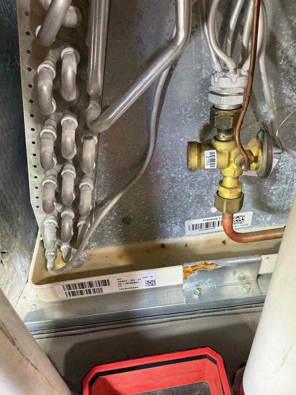 Completed routine cooling maintenance on multiple HVAC units (LM x2 239/241/246 KH 253 KS/353 KH). Inspected evaporator coil assemblies, refrigerant lines, service valves, and condensate drain pans; documented system conditions with photos showing all components operating within normal parameters.