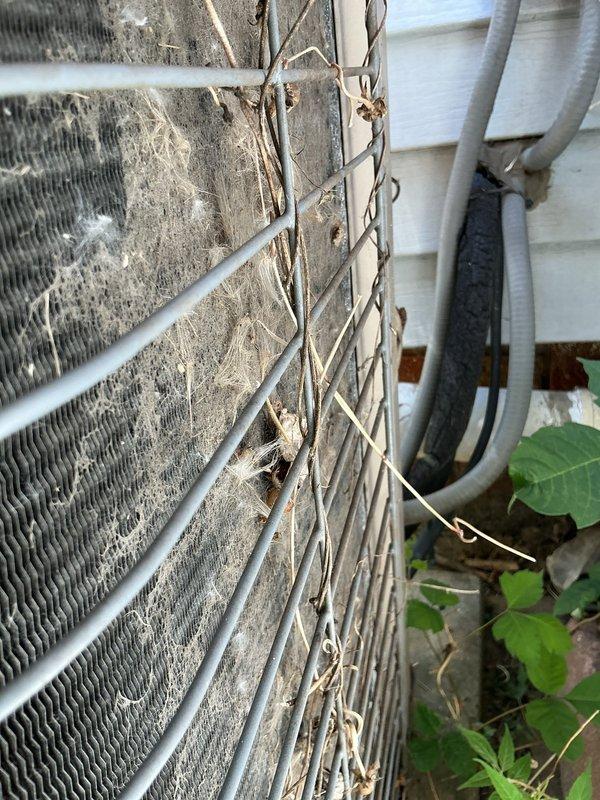 # HVAC Service Call - No Cool/Water Leak

## Primary Complaint
Responded to service call for 21-year-old residential air conditioning system with no cooling capability and active water leak. Unit failing to maintain thermostat setpoint temperature.

## Diagnostic Findings

Upon arrival, performed comprehensive system evaluation. Outdoor condensing unit showed extensive dirt and debris accumulation on condenser coil fins, significantly restricting airflow and reducing heat transfer efficiency. External cabinet displayed weathering consistent with age and lack of preventive maintenance. Vegetation growth around unit further impeding proper ventilation.

Indoor air handler inspection revealed water leak issue originating from condensate drainage system. Observed condensate management components including PVC drain lines and condensate pump assembly. Equipment showing signs of extended service life with original factory labels still intact.

## System Condition Assessment

- Condenser coil