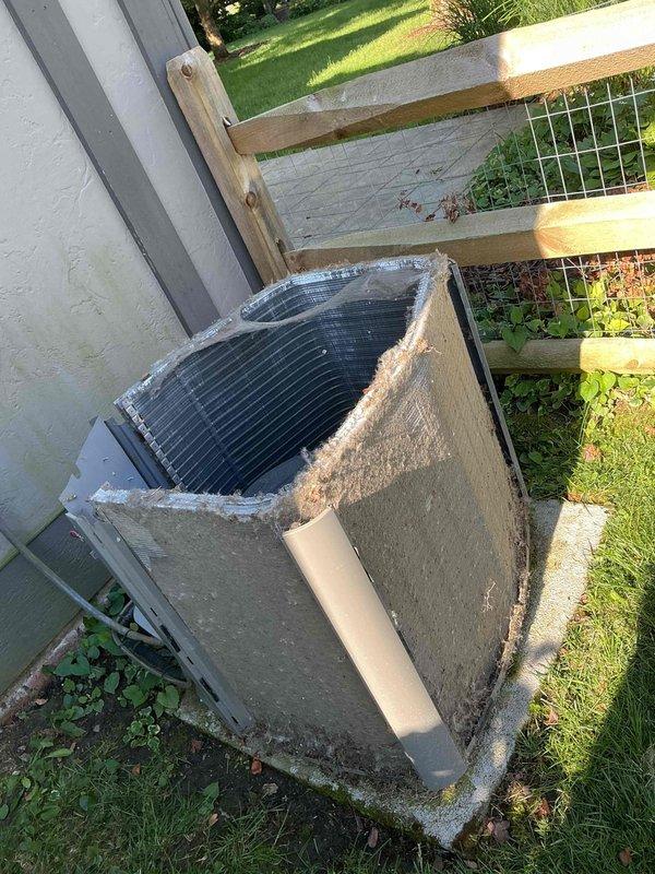Completed annual maintenance on 14-year-old air conditioning system. Removed heavy accumulation of cottonwood seeds and organic debris from outdoor unit coils and top surfaces. Cleared excessive vegetation growth from around equipment base and concrete pad to restore proper airflow and prevent future system efficiency loss.