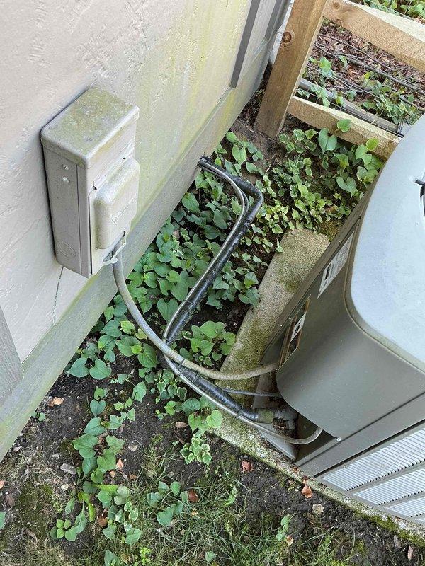 Completed annual maintenance on 14-year-old air conditioning system. Removed heavy accumulation of cottonwood seeds and organic debris from outdoor unit coils and top surfaces. Cleared excessive vegetation growth from around equipment base and concrete pad to restore proper airflow and prevent future system efficiency loss.