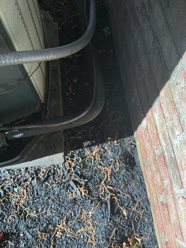 Completed preventative maintenance on two 3-year-old air conditioning systems. Performed electrical diagnostics using clamp meter to verify proper amperage draws on both units, inspected condenser coils and refrigerant lines, and assessed outdoor unit installations including drainage areas and clearances around equipment.