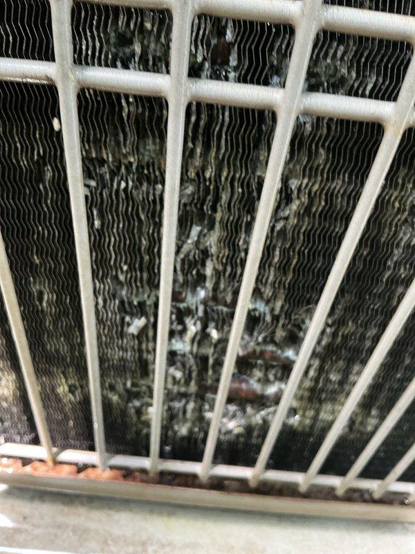# HVAC Maintenance - Cooling

Performed comprehensive AC tune-up on outdoor condensing unit with discrepancy noted regarding system age (records indicate 8 years versus homeowner estimate of 30 years). Upon inspection, discovered significant contamination and debris accumulation on condenser coils, including dirt, dust, and biological growth that was substantially impeding heat exchange efficiency and restricting airflow through the fins. Completed standard maintenance protocol including visual inspection of coil condition through protective grating, which revealed heavy buildup of white crusty deposits and dark streaking across multiple sections of the corrugated fin surfaces, indicating extended period without proper maintenance.